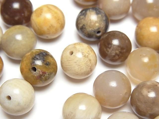 【動画】フォシルコーラル(化石珊瑚) 片穴ラウンド10mm 4個の画像