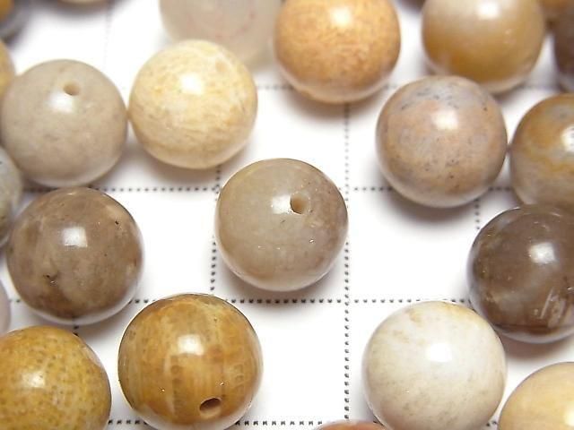【動画】フォシルコーラル(化石珊瑚) 片穴ラウンド10mm 4個 サムネイル2