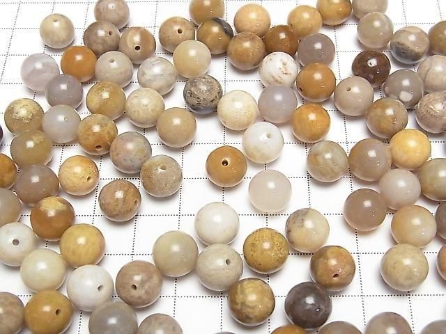 【動画】フォシルコーラル(化石珊瑚) 片穴ラウンド10mm 4個 サムネイル4