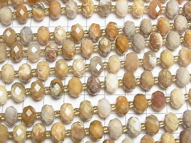 【動画】【素晴らしい輝き】フォシルコーラル(化石珊瑚) ボタンカット10×10×6.5mm 半連/1連(約37cm) サムネイル3