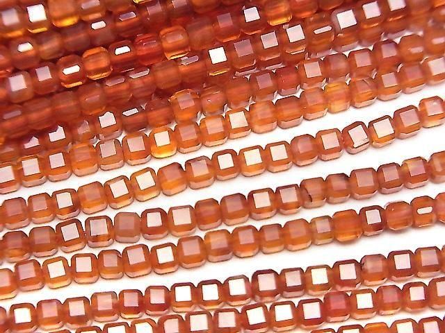 ưۡ餷ۥͥꥢAAA 塼֥å222mm 1Ϣ(37cm)β