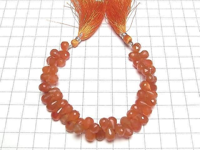 ưۡ1ΡۥͥꥢAAA- ɥå ֥ꥪåȥå 1Ϣ(16cm) ͥ2