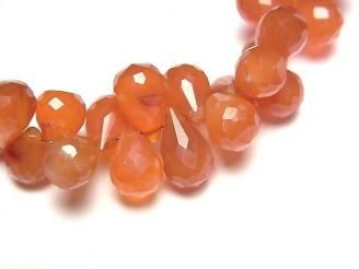 ưۡ1ΡۥͥꥢAAA- ɥå ֥ꥪåȥå 1Ϣ(16cm)