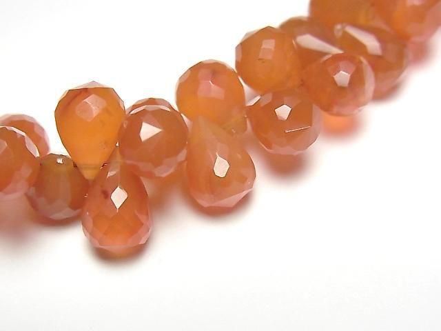 ưۡ1ΡۥͥꥢAAA- ɥå ֥ꥪåȥå 1Ϣ(16cm)β