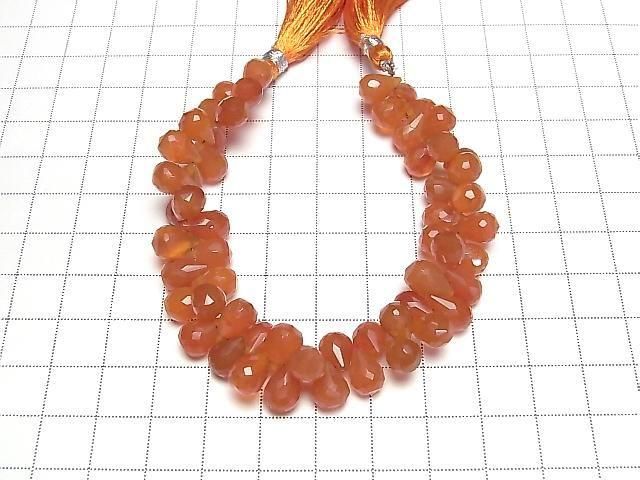 ưۡ1ΡۥͥꥢAAA- ɥå ֥ꥪåȥå 1Ϣ(16cm) ͥ2