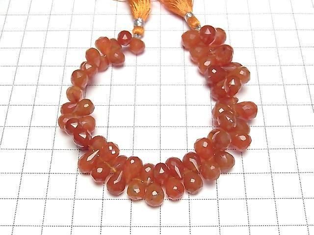 ưۡ1ΡۥͥꥢAAA- ɥå ֥ꥪåȥå 1Ϣ(17cm) ͥ2