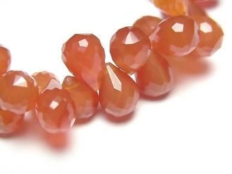 ưۡ1ΡۥͥꥢAAA- ɥå ֥ꥪåȥå 1Ϣ(17cm)