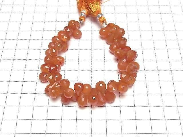 ưۡ1ΡۥͥꥢAAA- ɥå ֥ꥪåȥå 1Ϣ(17cm) ͥ2
