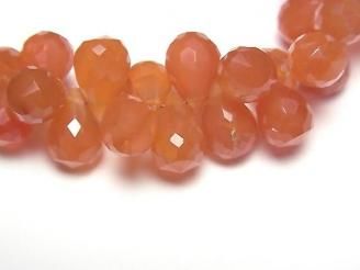 ưۡ1ΡۥͥꥢAAA- ɥå ֥ꥪåȥå 1Ϣ(17cm)