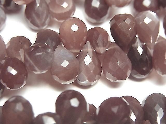 ưм祳졼ȥࡼ󥹥ȡAAA- ɥå ֥ꥪåȥå ȾϢ/1Ϣ(18cm)β
