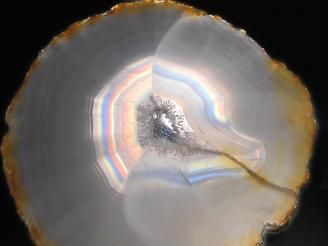 ưۡ1Ρۥꥹ 饤 1 NO.217