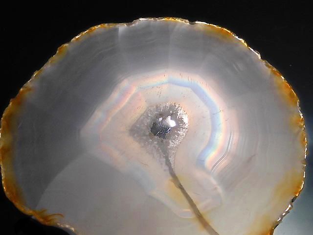 ưۡ1Ρۥꥹ 饤 1 NO.218β