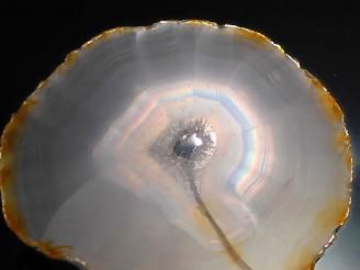 ưۡ1Ρۥꥹ 饤 1 NO.218