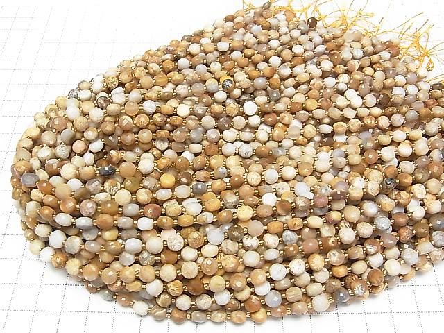 【動画】【素晴らしい輝き】フォシルコーラル コインカット6×6×4mm 1連(約37cm) サムネイル4