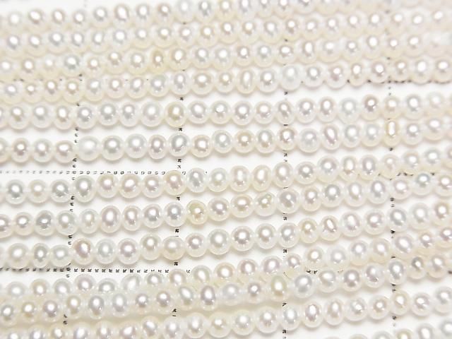 ưø忿AAA- ߥ饦~ݥƥ2.5mm ۥ磻 ȾϢ/1Ϣ(37cm)β-2