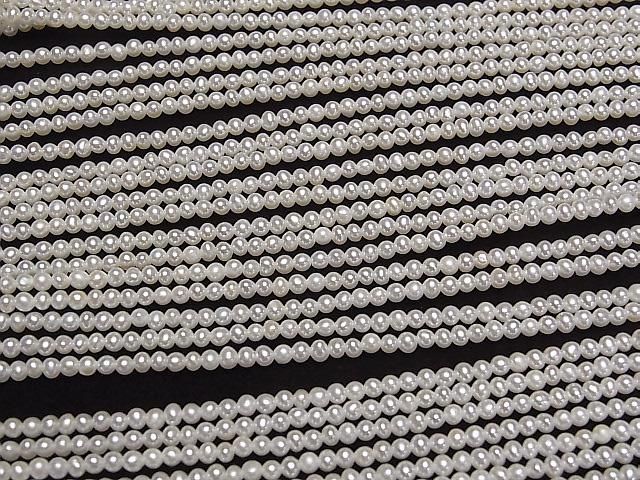 ưø忿AAA- ߥ饦~ݥƥ2.5mm ۥ磻 ȾϢ/1Ϣ(37cm)β-3