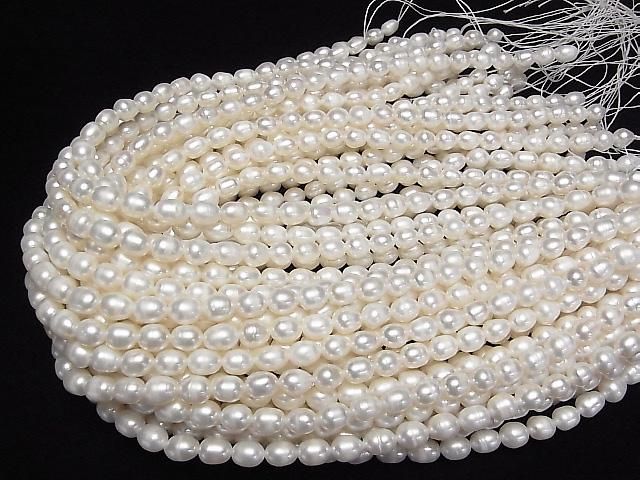 ưø忿AA 饤977mm ۥ磻 1Ϣ(37cm) ͥ4