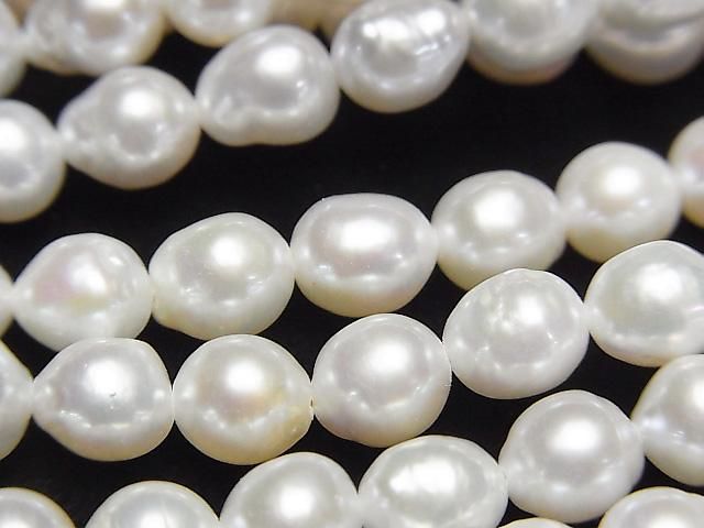 ưø忿AA+ ʥɥå~饤6~7mm ۥ磻 1Ϣ(35cm)β