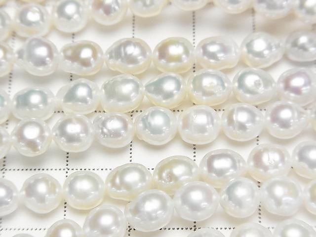 ưø忿AA+ ʥɥå~饤6~7mm ۥ磻 1Ϣ(35cm) ͥ2