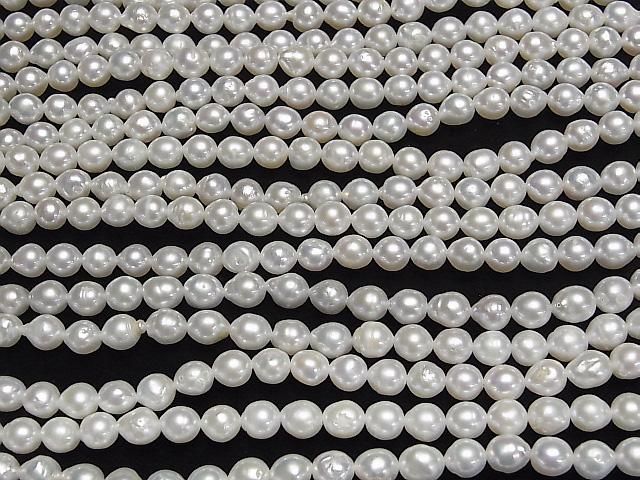 ưø忿AA+ ʥɥå~饤6~7mm ۥ磻 1Ϣ(35cm) ͥ3