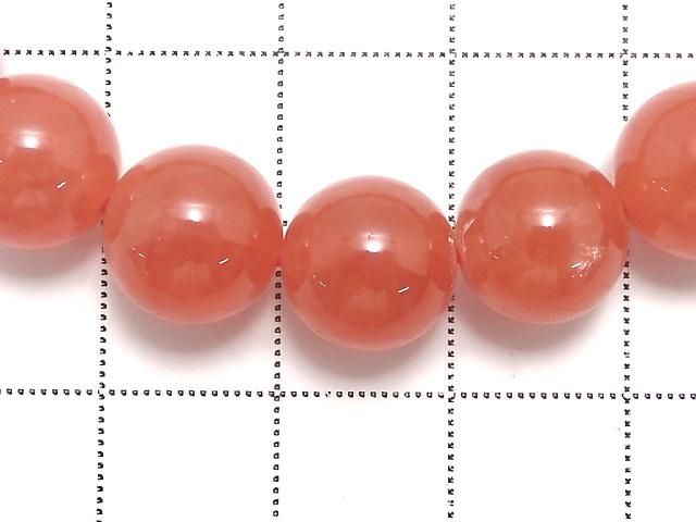 ưۡ1Ρۥ를󻺥󥫥AAAA 饦10mm 1Ϣ(֥쥹) NO.204 ͥ3