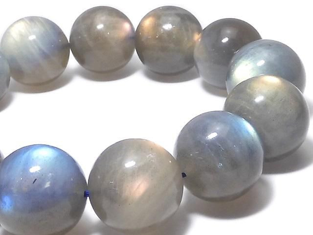 ưۡ1Ρۥ֥ɥ饤AAA- 饦17.5mm 1Ϣ(֥쥹) NO.111β