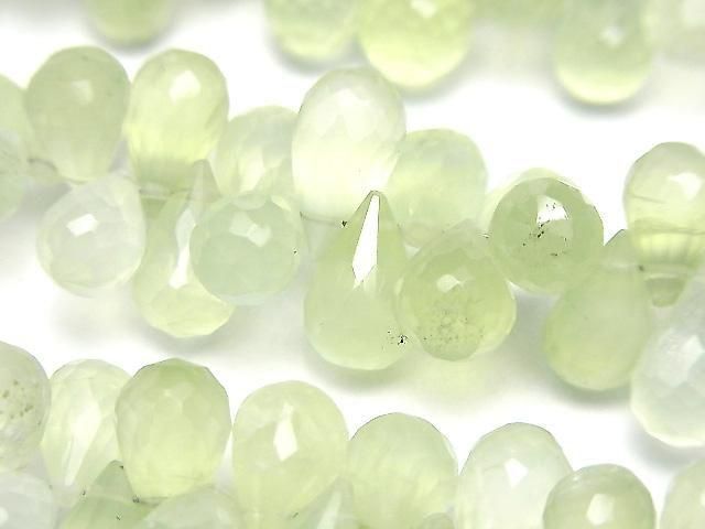 ưмץʥAAA- ɥå ֥ꥪåȥå ȾϢ/1Ϣ(18cm)β