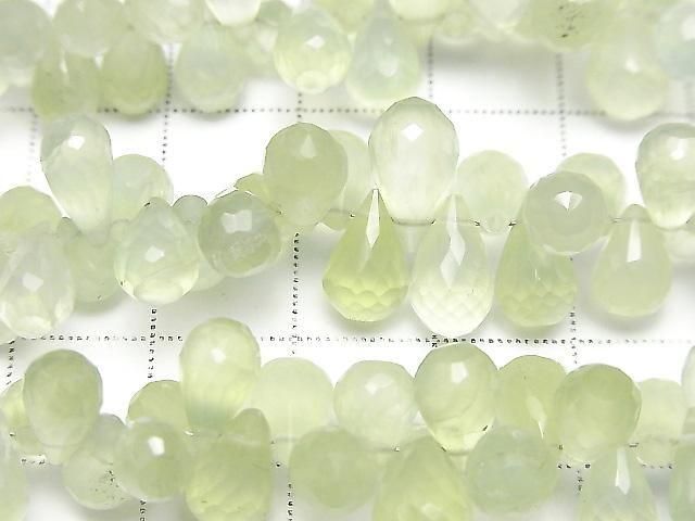 ưмץʥAAA- ɥå ֥ꥪåȥå ȾϢ/1Ϣ(18cm) ͥ2