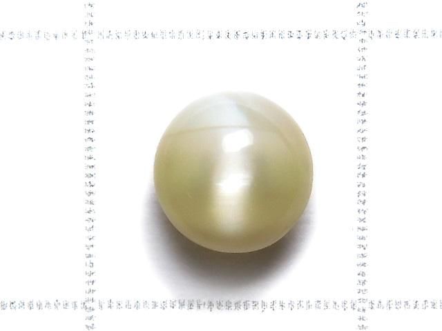 ưۡ1Ρм꥽٥륭åĥAAA- ܥ 1γ NO.21 ͥ2