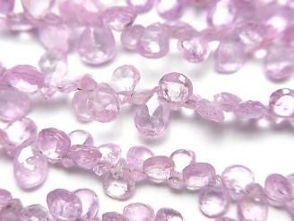 ưǮԥ󥯥եAA++ ڥ ֥ꥪåȥå ȾϢ/1Ϣ(18cm)