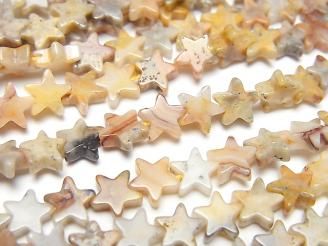 ưۥ쥤졼 ()66mm 1Ϣ(36cm)