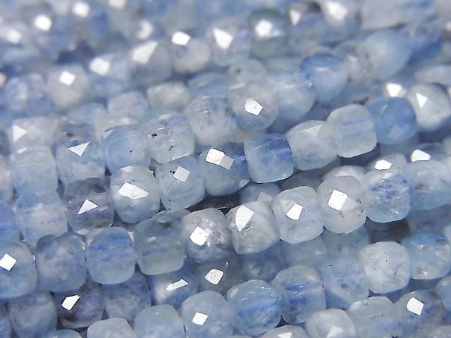 ưۡ餷ۥǥץ֥롼ޥAA+ 塼֥å444mm ȾϢ/1Ϣ(36cm)