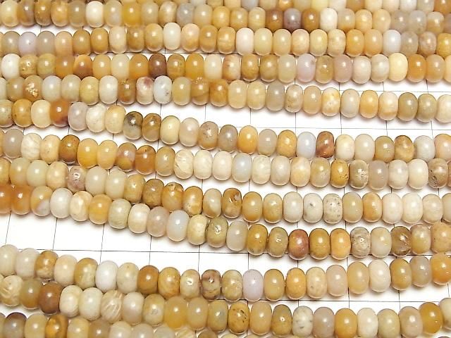 ưۥե륳(л) ǥ(ܥ)664mm 1Ϣ(37cm)β-3