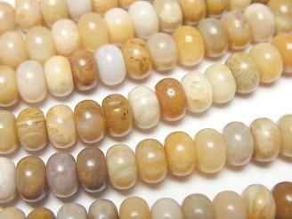 ưۥե륳(л) ǥ(ܥ)664mm 1Ϣ(37cm)