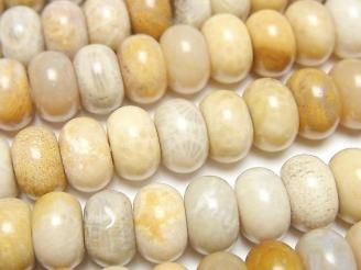 ưۥե륳(л) ǥ(ܥ)10106mm 1Ϣ(36cm)