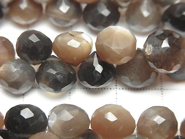 ưۥСǥ󥷥㥤 ޥ顼ࡼ󥹥ȡAA++ ˥ ֥ꥪåȥå ȾϢ/1Ϣ(18cm) ͥ2