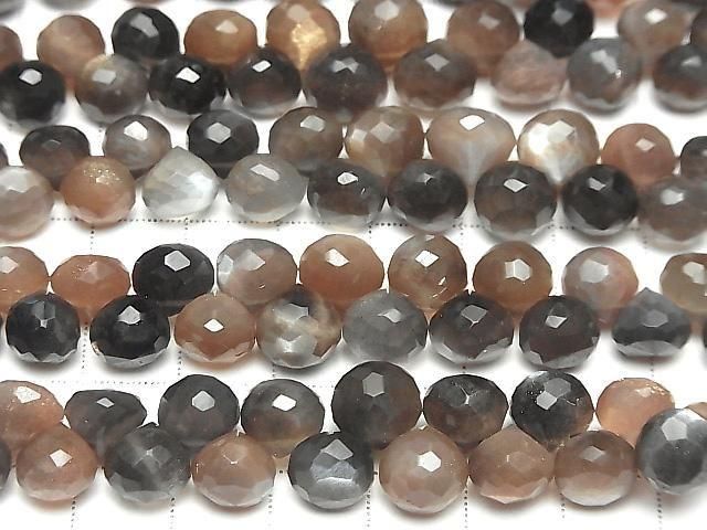 ưۥСǥ󥷥㥤 ޥ顼ࡼ󥹥ȡAA++ ˥ ֥ꥪåȥå ȾϢ/1Ϣ(18cm) ͥ3