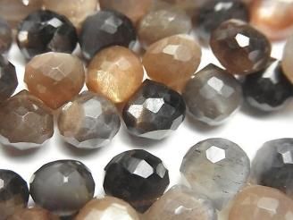 ưۥСǥ󥷥㥤 ޥ顼ࡼ󥹥ȡAA++ ˥ ֥ꥪåȥå ȾϢ/1Ϣ(18cm)