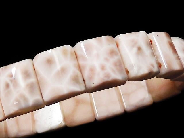 ưۡ1Ρۥȥॽʥ 2ķ쥯󥰥 1Ϣ(֥쥹) NO.1β