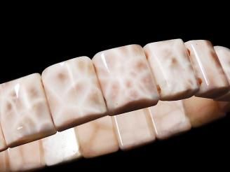 ưۡ1Ρۥȥॽʥ 2ķ쥯󥰥 1Ϣ(֥쥹) NO.1