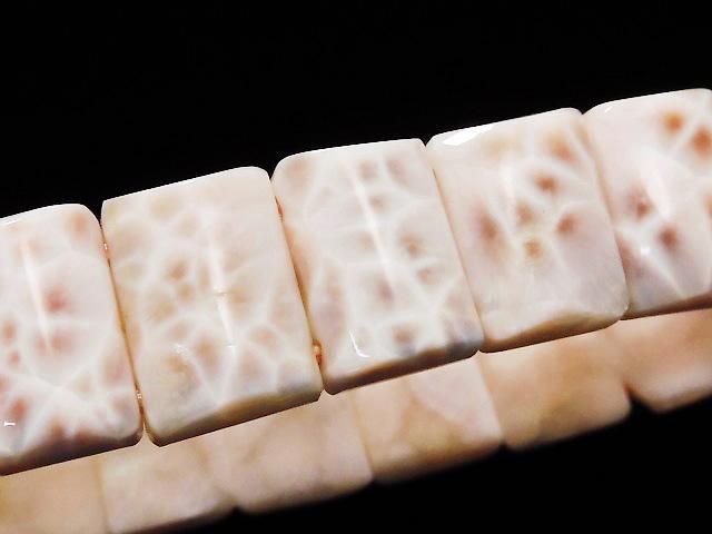 ưۡ1Ρۥȥॽʥ 2ķ쥯󥰥 1Ϣ(֥쥹) NO.5β