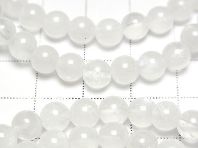 ưۥ֥롼ࡼ󥹥ȡAA 饦6mm 1Ϣ(֥쥹) ͥ2