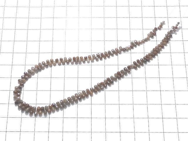 ưۡ1Ρۥǥå֥饦 ɥå ֥ꥪåȥå 1Ϣ(27cm)  ͥ4