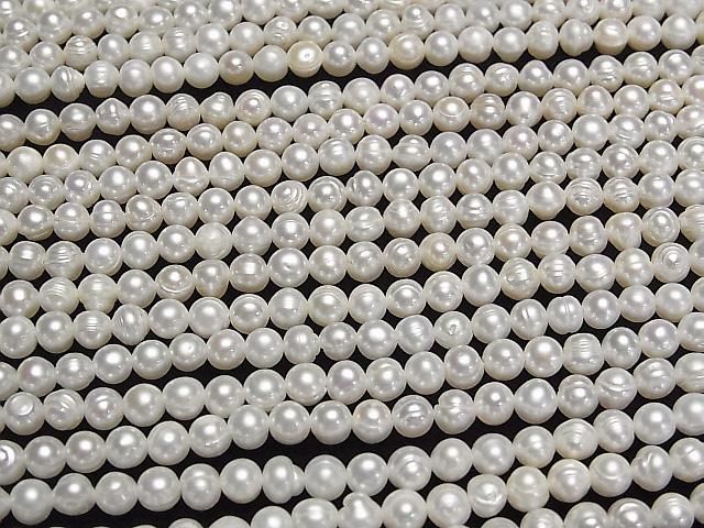 ưø忿AA ݥƥ5mm ۥ磻 1Ϣ(33cm) ͥ3