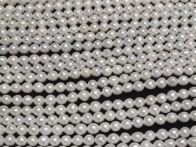 ưø忿AA ۥ磻 ݥƥ~饤4mm 1Ϣ(36cm) ͥ3