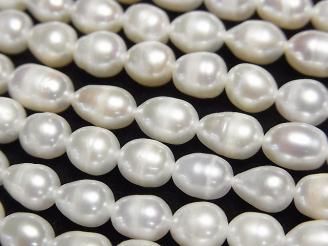 ưø忿AA 饤67mm ۥ磻 1Ϣ(36cm)