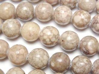 ưۥޥեʥ 饦10mm 1Ϣ(36cm)