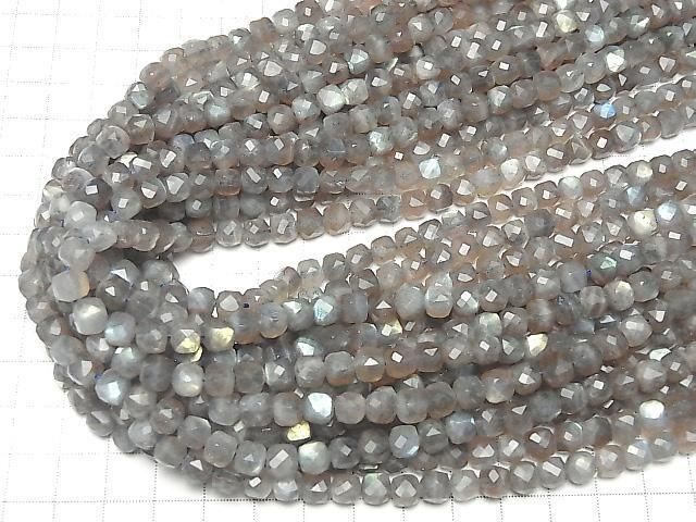 ưۡ餷ۥ֥ɥ饤AA++ 塼֥å666mm ȾϢ/1Ϣ(36cm)β-4