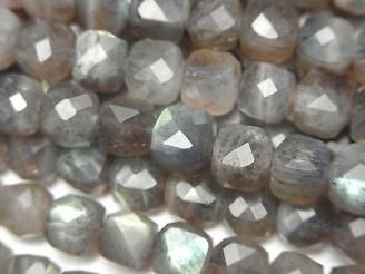 ưۡ餷ۥ֥ɥ饤AA++ 塼֥å666mm ȾϢ/1Ϣ(36cm)