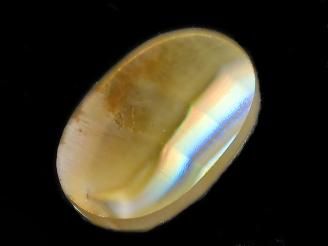 ưۡ1Ρۥꥹ 롼 1 NO.2